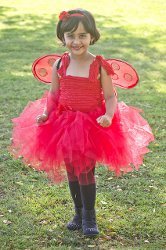 Little Ladybug Costume