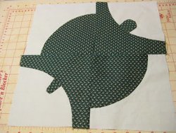 Turtle's Path Quilt Block