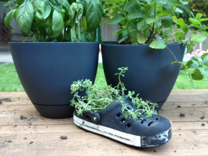 Recycled Crocs Planter