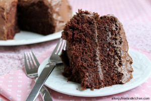 Decadent Chocolate Cake 