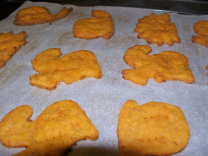 Gluten-Free Cheddar Salsa Crackers