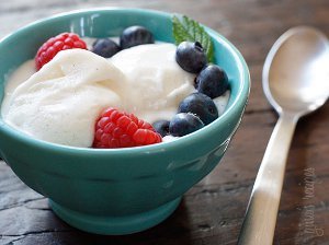 Low-Fat Vanilla Frozen Yogurt