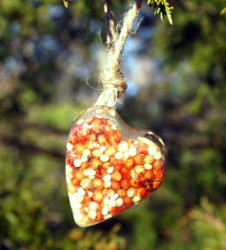 Ice Makes Nice Bird Feeders