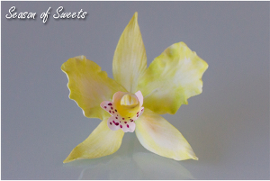 How To Make Gumpaste Orchids