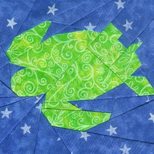 수영 바다 거북 블록