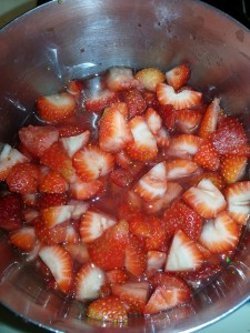DIY Strawberry Fruit Roll Ups