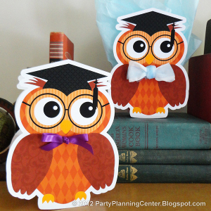 Wise Owl Party Bags