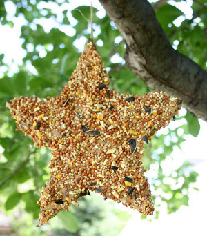 Simple Bird Feeder