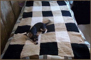 Neutral Plaid Blanket