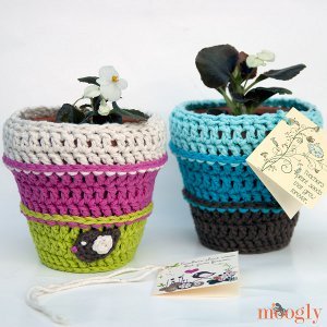 Everlasting Flower Pot Cozy