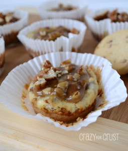 Pecan Praline Cheesecakes