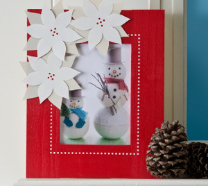 White Poinsettia Frame