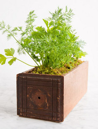 34 Garden Crafts: DIY Planters, Flower Pot Crafts, and More DIY Garden Ideas. 34 Garden Crafts: DIY Planters, Flower Pot Crafts, and More DIY Garden Ideas.