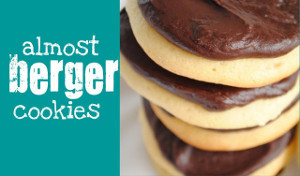 Copycat of the Famous Berger Cookie