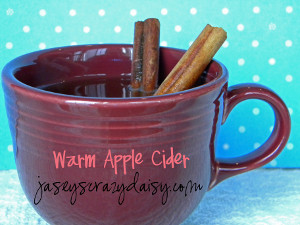 Warm Apple Cider