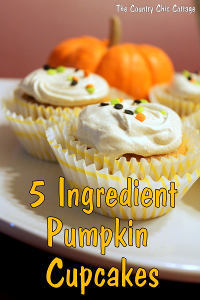 5 Ingredient Pumpkin Cupcakes