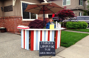 DIY Lemonade Stand