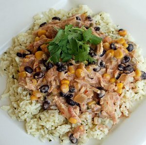 Simple Salsa Chicken