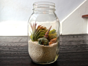 Beautiful Beach Terrarium