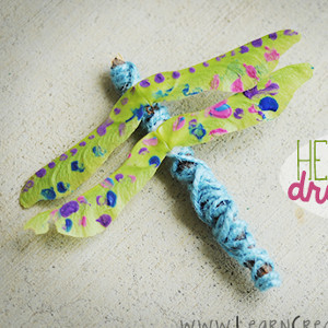 Helicopter Seed Dragonflies
