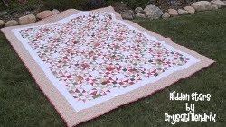 Hidden Stars Quilt