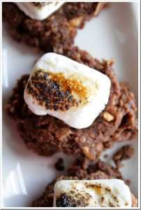 10 Minute No Bake S'mores Cookies