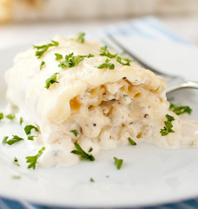 Creamy White Chicken Lasagna Roll Ups