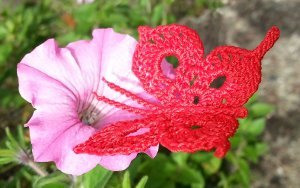 Ruby Red Butterfly