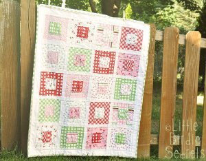 Gather Love Baby Quilt