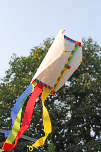 Colorful Tyvek Kite