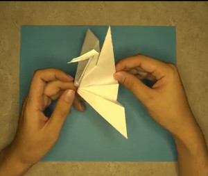 Swimming Origami Crane