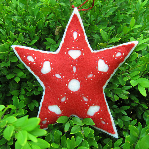 Hungarian Felt Star Ornament