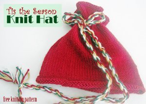 Holiday Knit Hat
