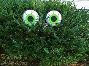 Boogeyman Bush Eyes