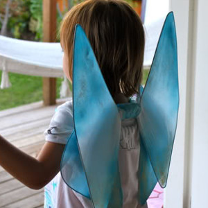 Adorable Fairy Wings