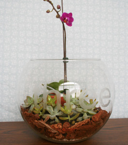 Etched Glass Terrarium Centerpiece