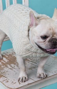 Free knitting patterns for small dog sweaters