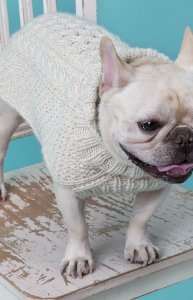 Cable Knit Dog Sweater