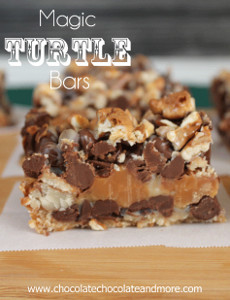 Magic Turtle Bars