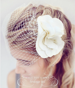  Beautiful Basic Birdcage Veil