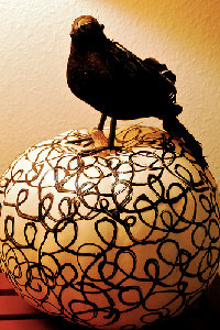 Blackbird Swirl Pumpkin
