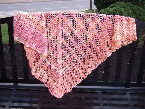 Lacy Fall Shawl