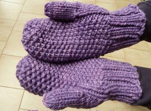 Purple Passion Mittens