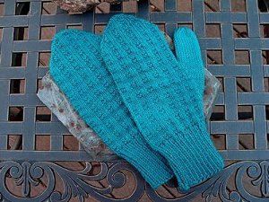 Blueberry Pie Mittens