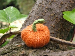 Itty Bitty Pumpkin