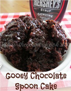 Gooey Chocolate Spoon Cake