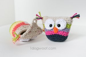 Precious Owl Pouch