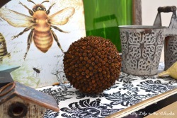 Teeny Tiny Pine Cone Pomander