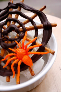 Sweet and Speedy Spider Web Sweet and Speedy Spider Web