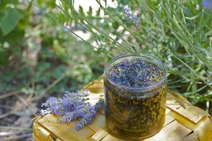 Homemade Lavender Oil